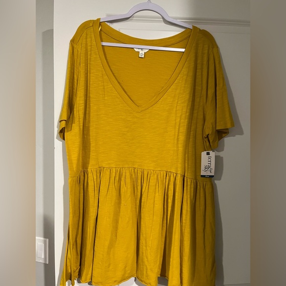 ❌SOLD❌Terra & Sky Peplum Top - NWT - Picture 1 of 3